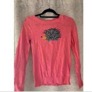 Pink Long Sleeve Hedgehog Shirt